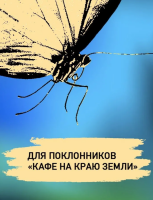 Интуицио (тв)