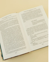 Пикник на обочине. Время выбора