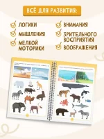 Пиши-стирай 4-6 лет