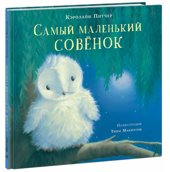 Самый маленький совёнок