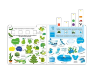 Изучаем слова, цвета и формы  Книжка-тренажёр